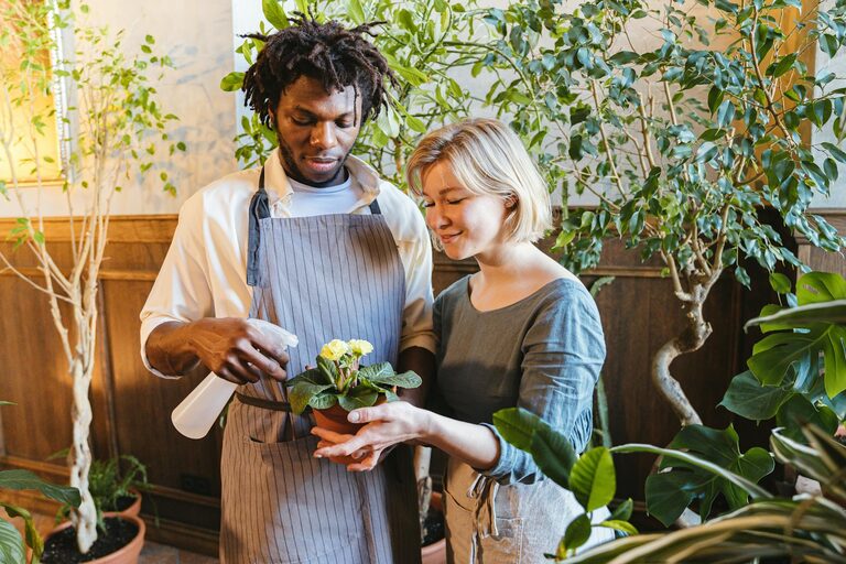 Consejos prácticos para cuidar plantas de interior saludables todo el año